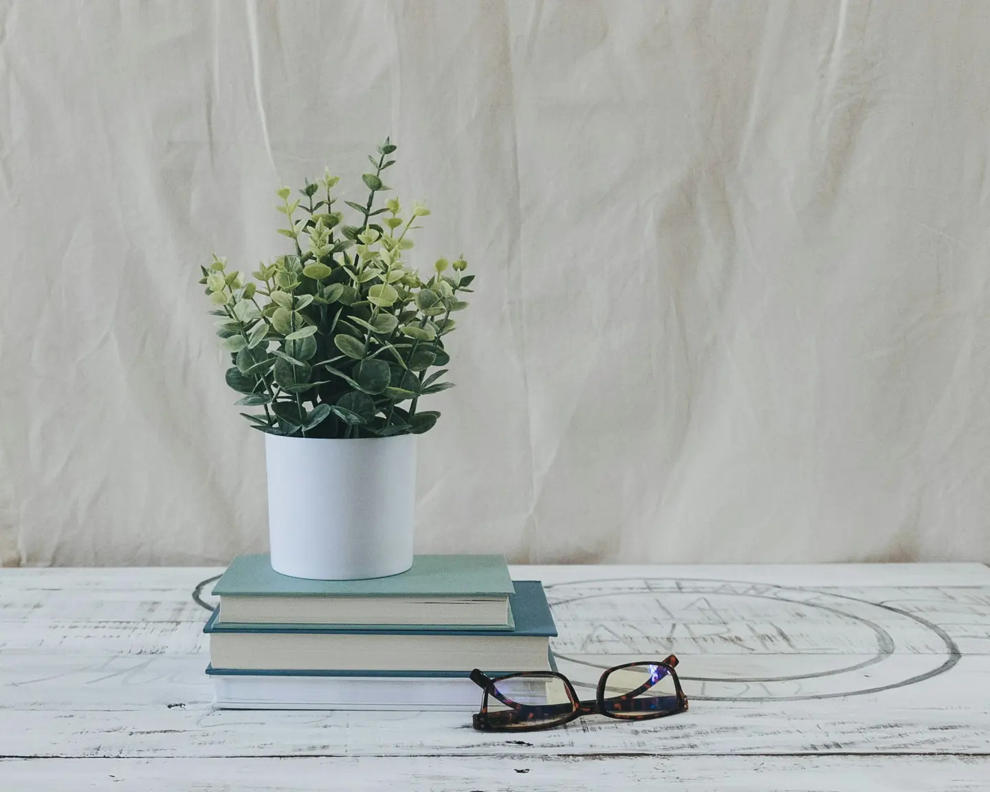 A green plant on a stack of books in soft daylight